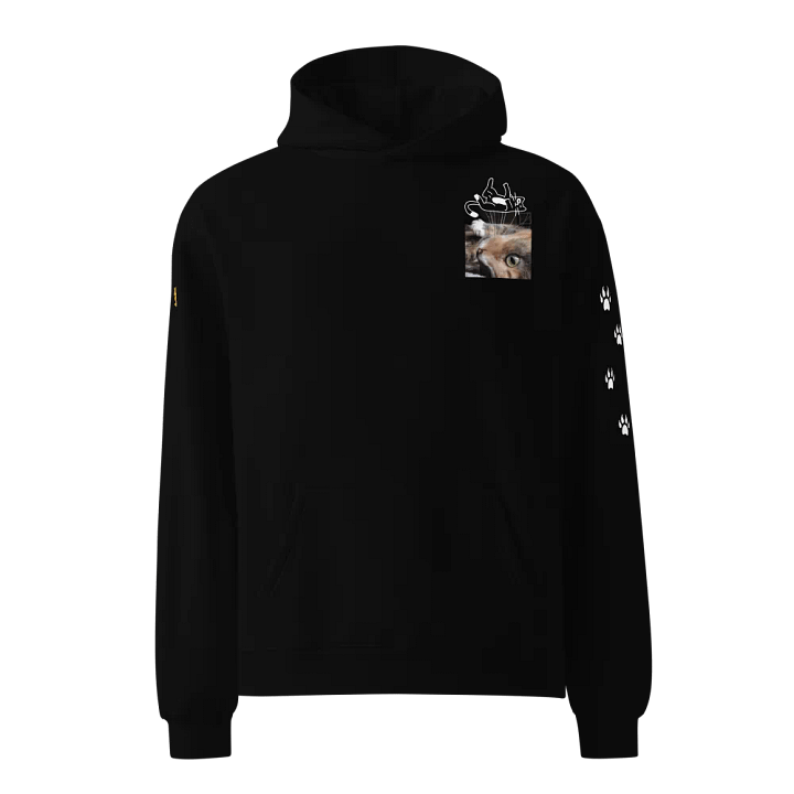 Mystic Feline Oversized Hoodie product image (1)