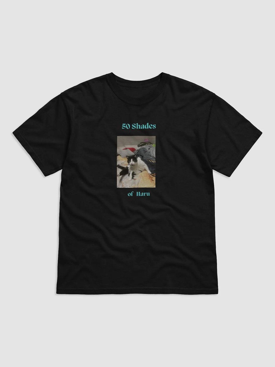 50 Shades of Haru Comfort Tee product image (1)