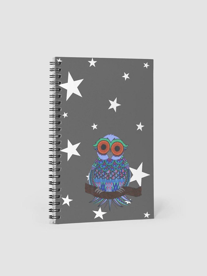 Oddball Owl Notebook product image (1)
