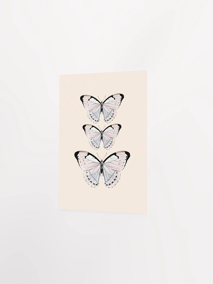 Butterfly Trio Matte Poster product image (11)