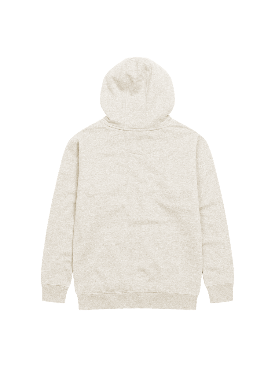 Set Your Mind on Things Above Unisex Hoodie product image (18)