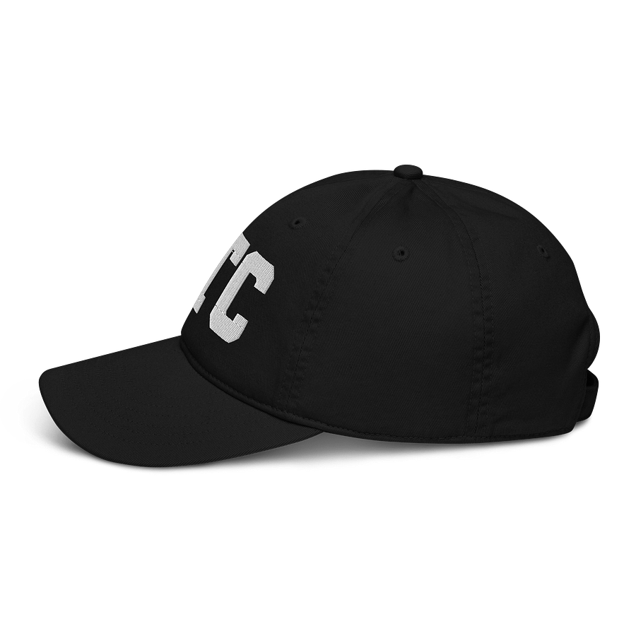 ATC Organic Dad Hat by Econscious product image (3)