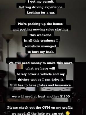 My back is SCREAMING. I think I pinched a nerve or something. 🥲 #canada🇨🇦 #moving #fundraiser #help #leavingtheusa 
