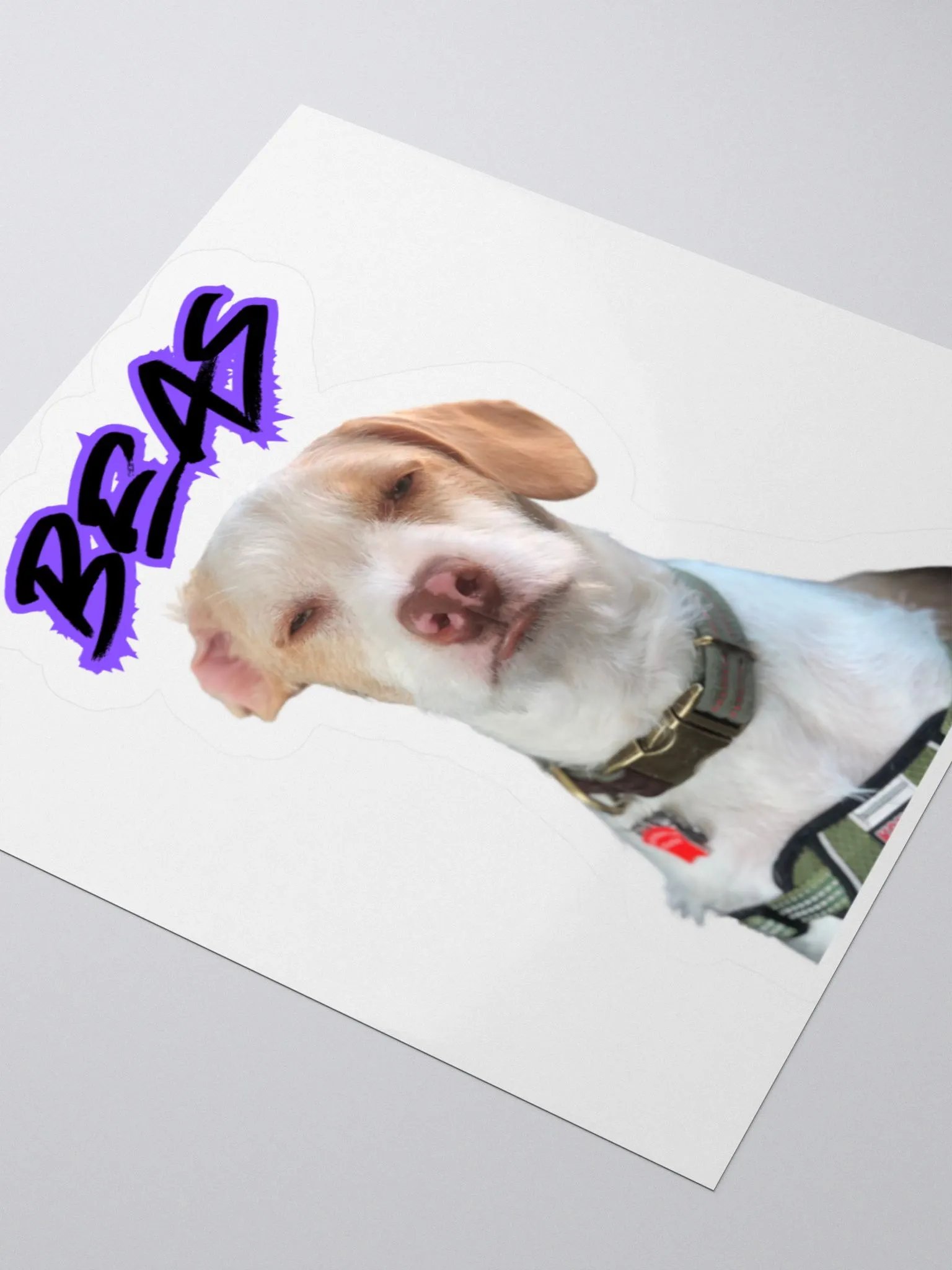 Beasley Judges You product image (5)