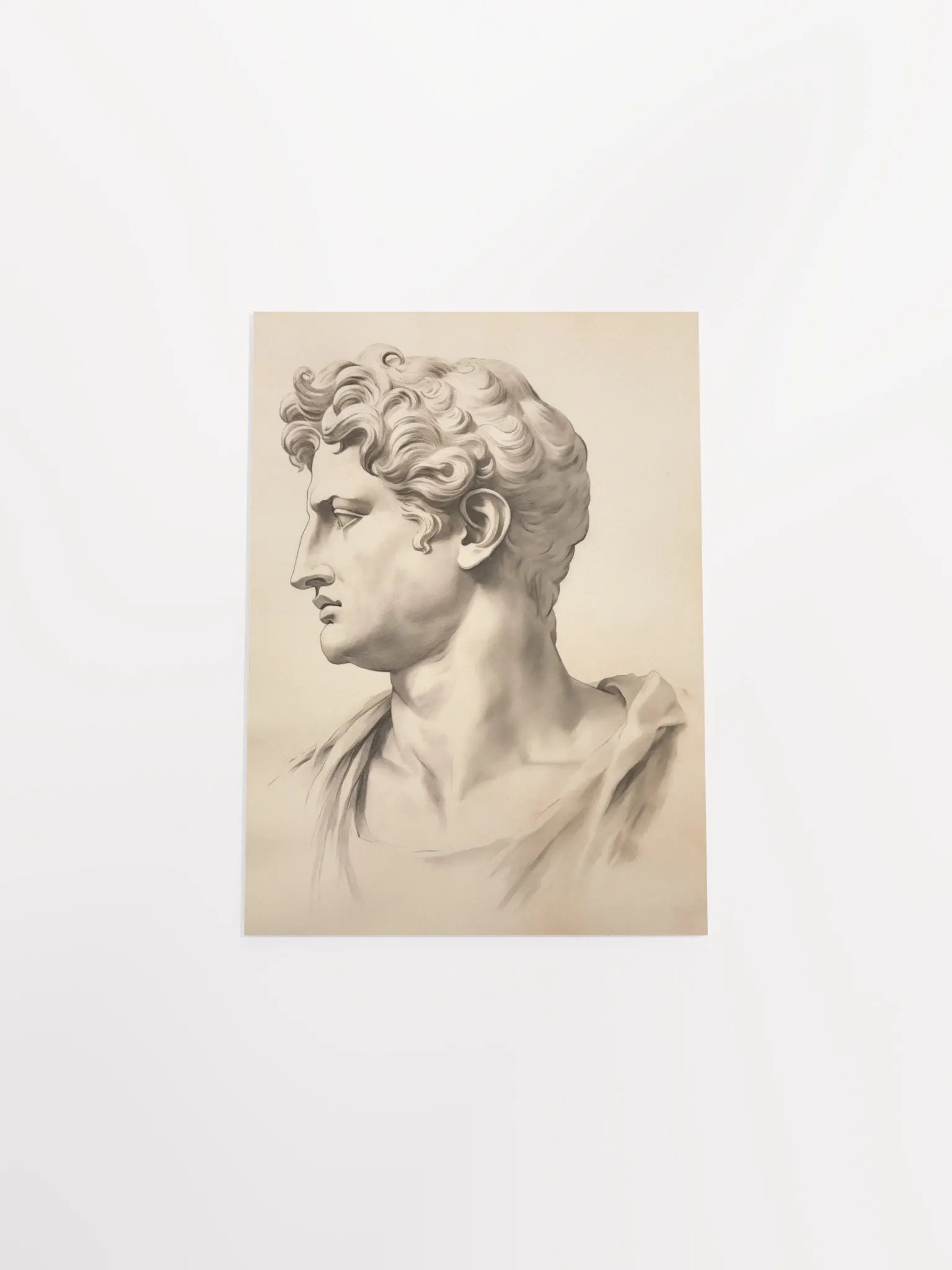 Academia Allure: Classical Revival I Art Print product image (23)