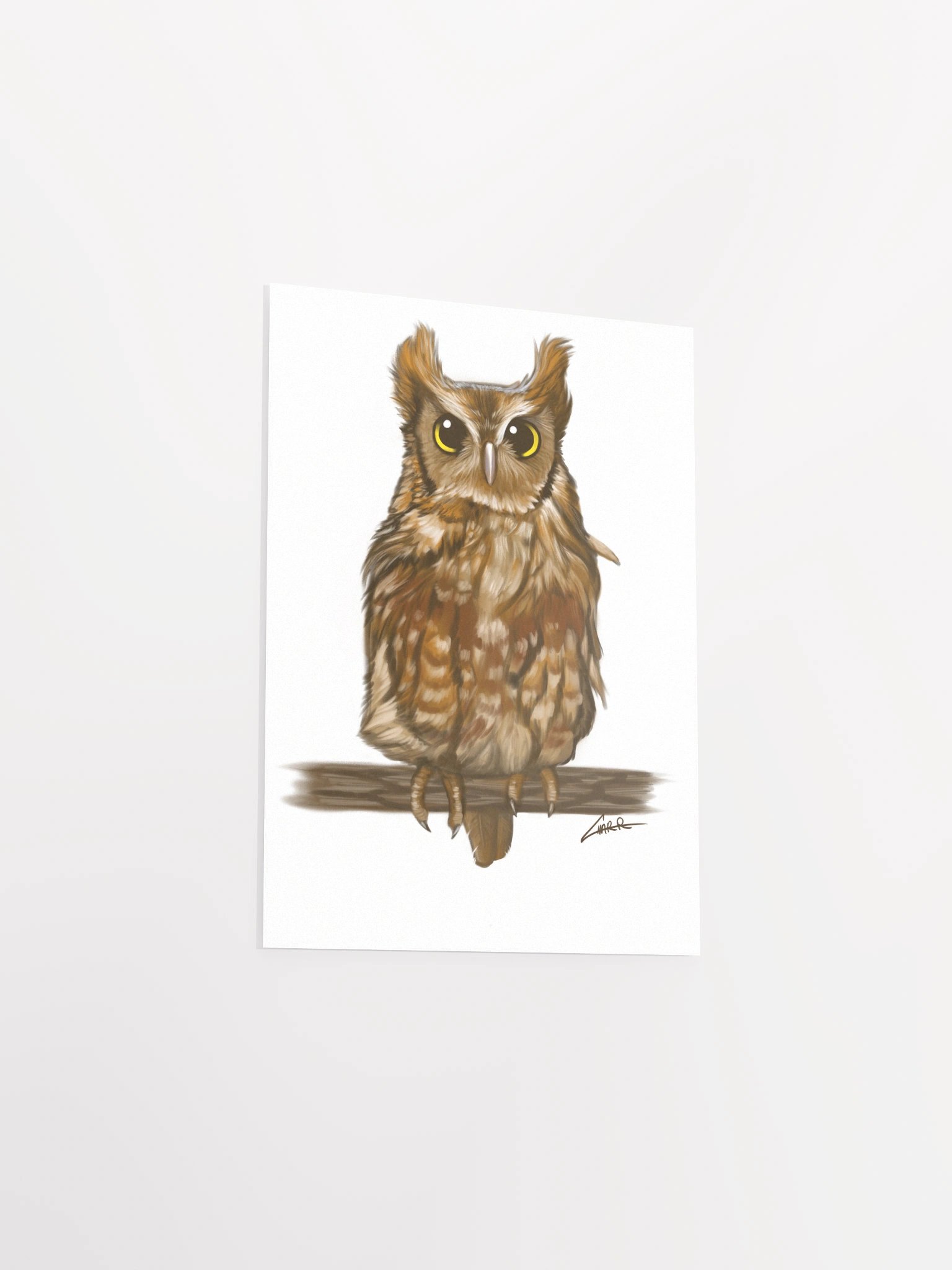 Birds: Screech Owl product image (3)