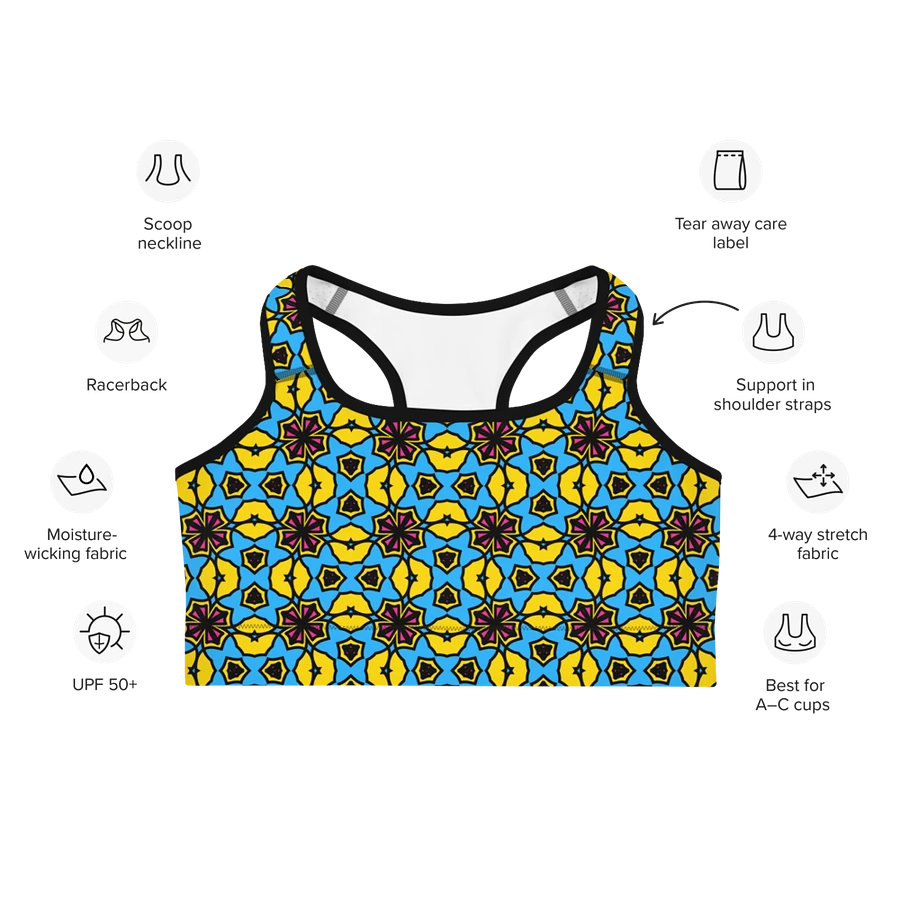 Pan Abstract (1) - Sports Bra product image (7)