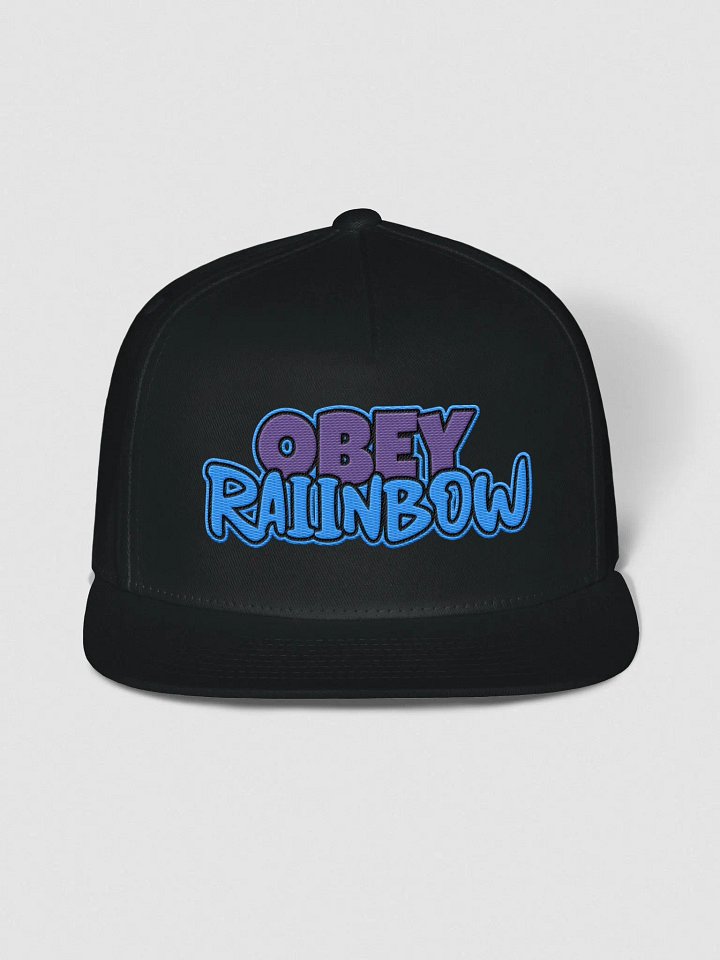 O_R Flat Snapback Cap product image (1)