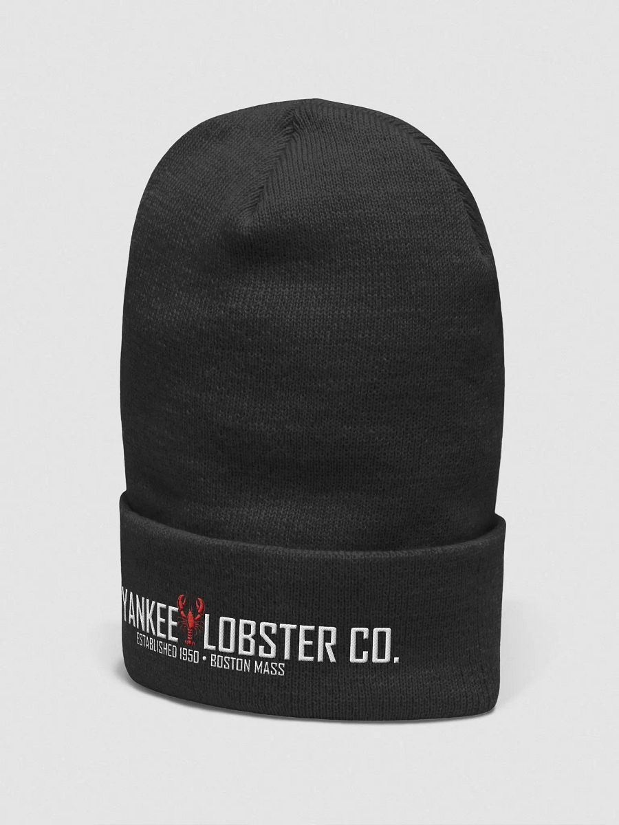Yankee Lobster Beenie product image (6)