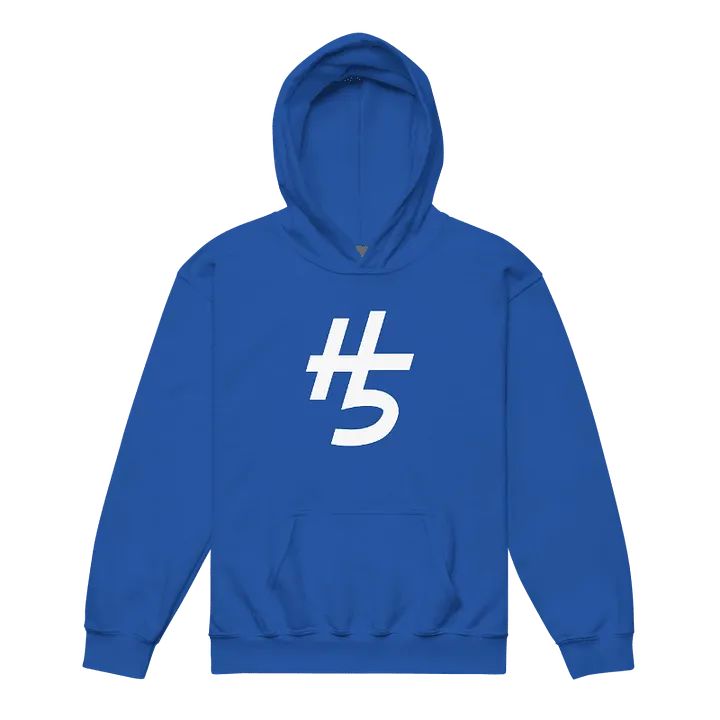 H5 Hoodie (Youth) product image (1)