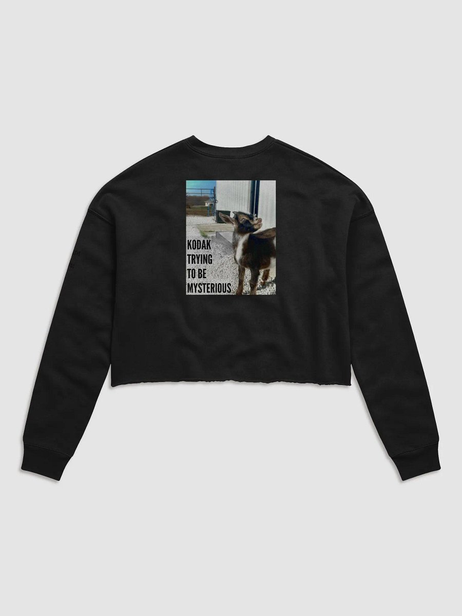 Cropped Crew ft. Kodak product image (3)