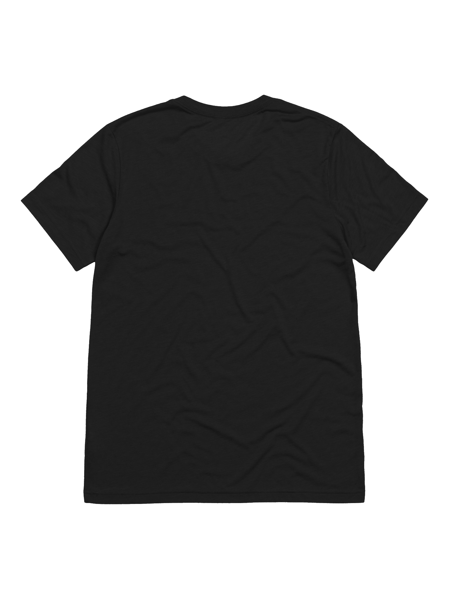 NO MONEY FOR POLITICIANS "TRI BLEND" product image (8)