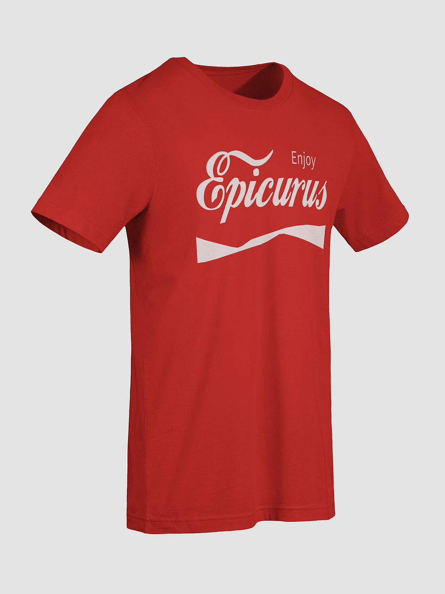 Enjoy Epicurus (Bella+Canvas Supersoft T-Shirt) product image (57)
