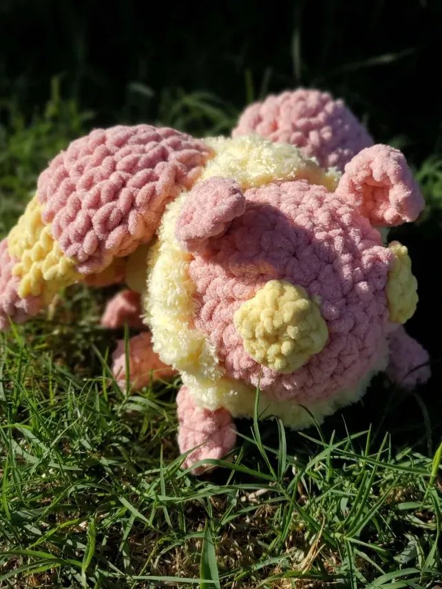Rosy Maple Moth product image (2)