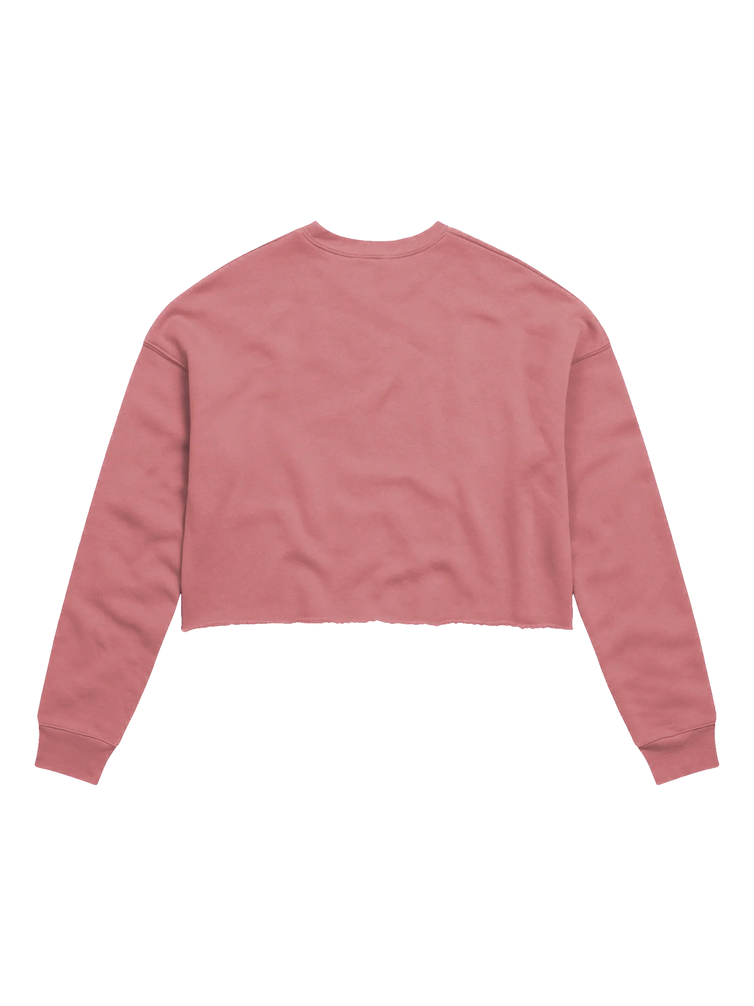 Bear and Bird - Bella+Canvas Women's Fleece Crop Sweatshirt product image (15)