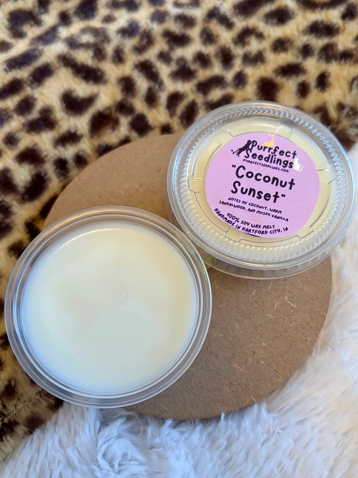 Coconut Sunset Wax Melt (LIMITED EDITION) product image (1)