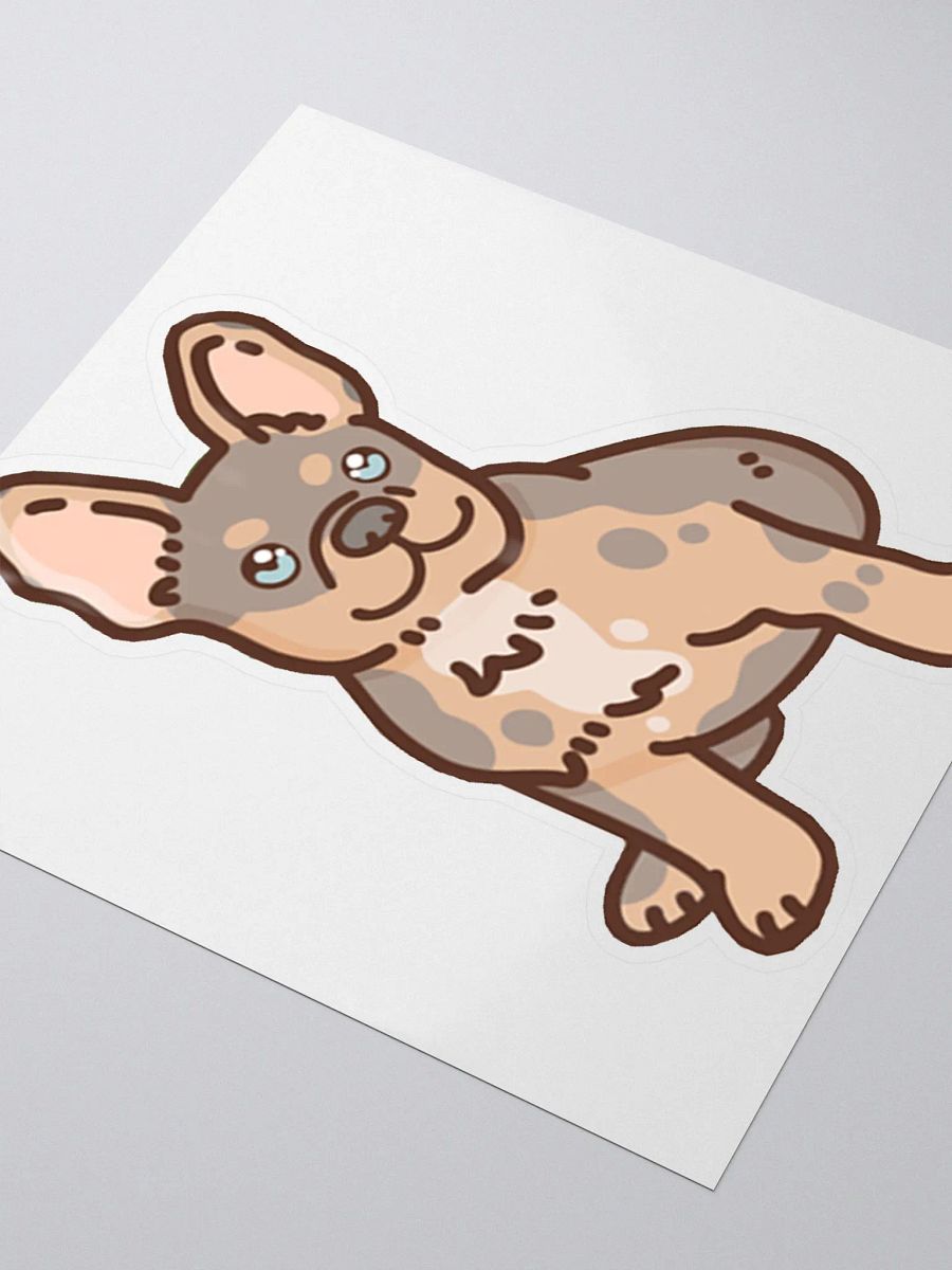Albsterz Kiwi Stickers product image (9)