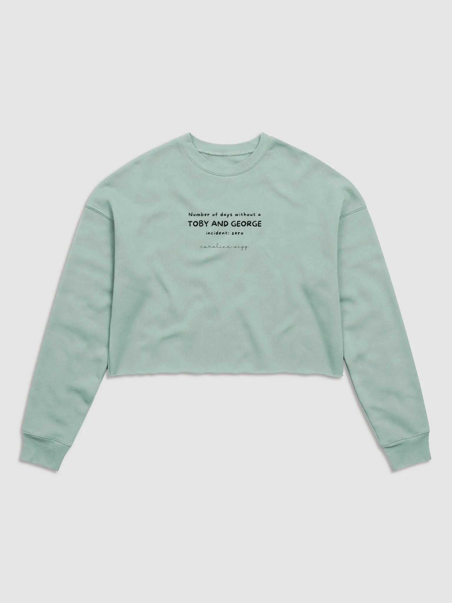 Toby and George Incident Crop Sweatshirt - Light Colours product image (1)