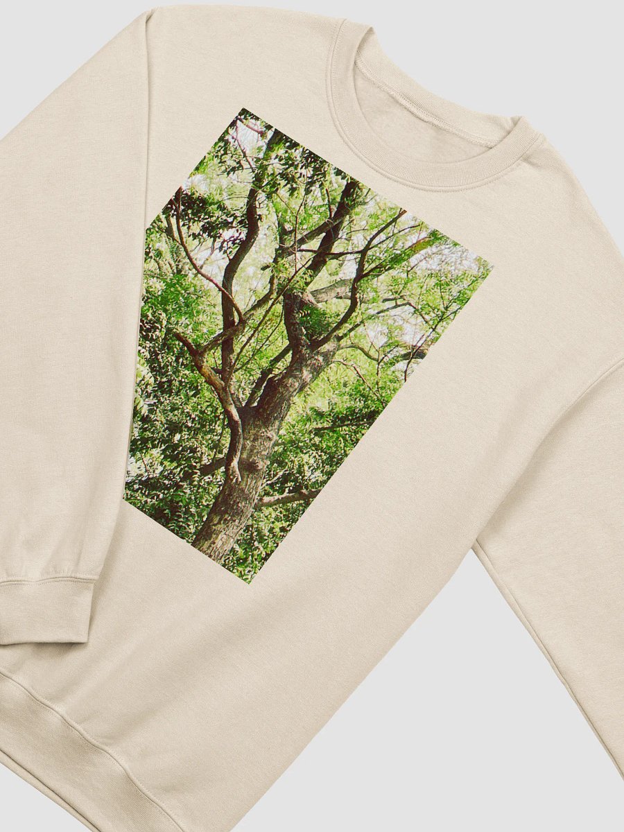 Earth tone DIVINE MUSIC sweatshirt product image (2)
