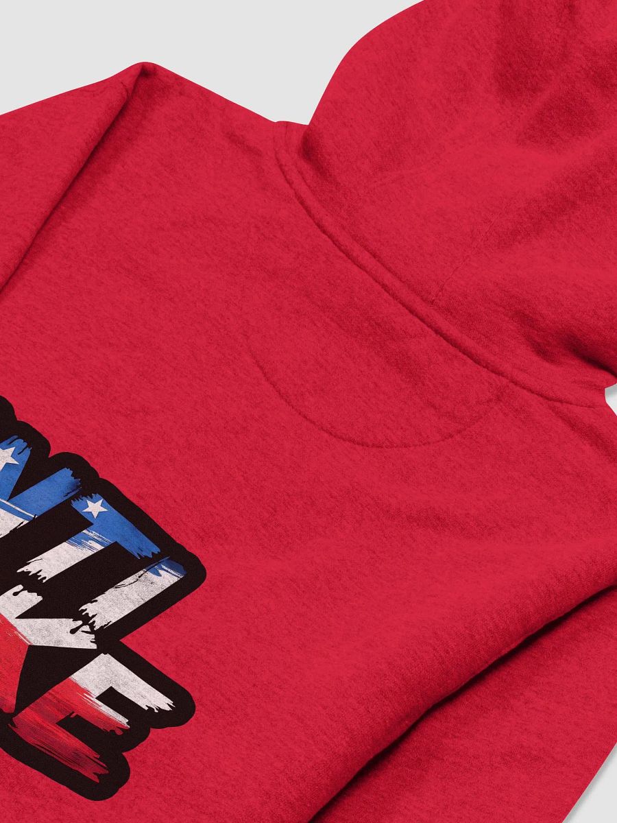 Hoodie: Anti Woke product image (46)