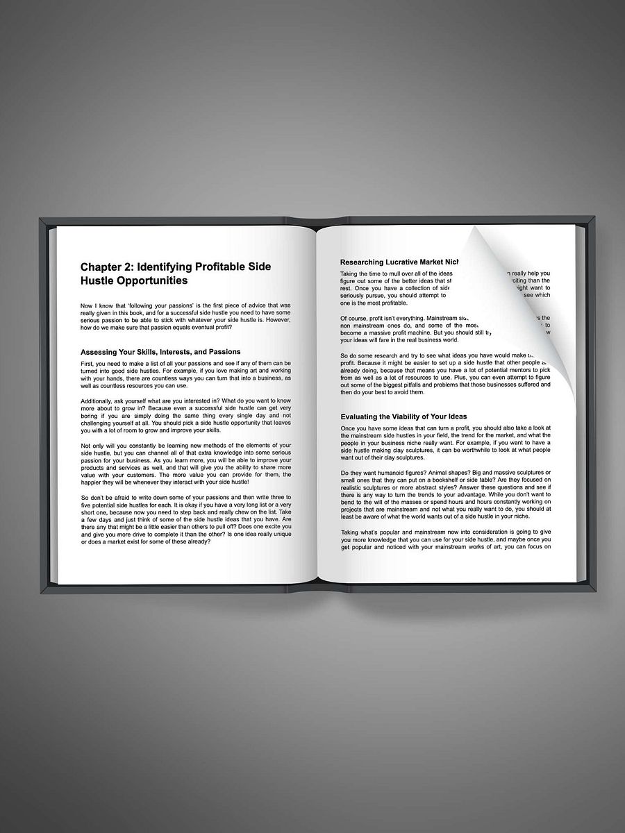 The Side Hustlers Blueprint product image (2)