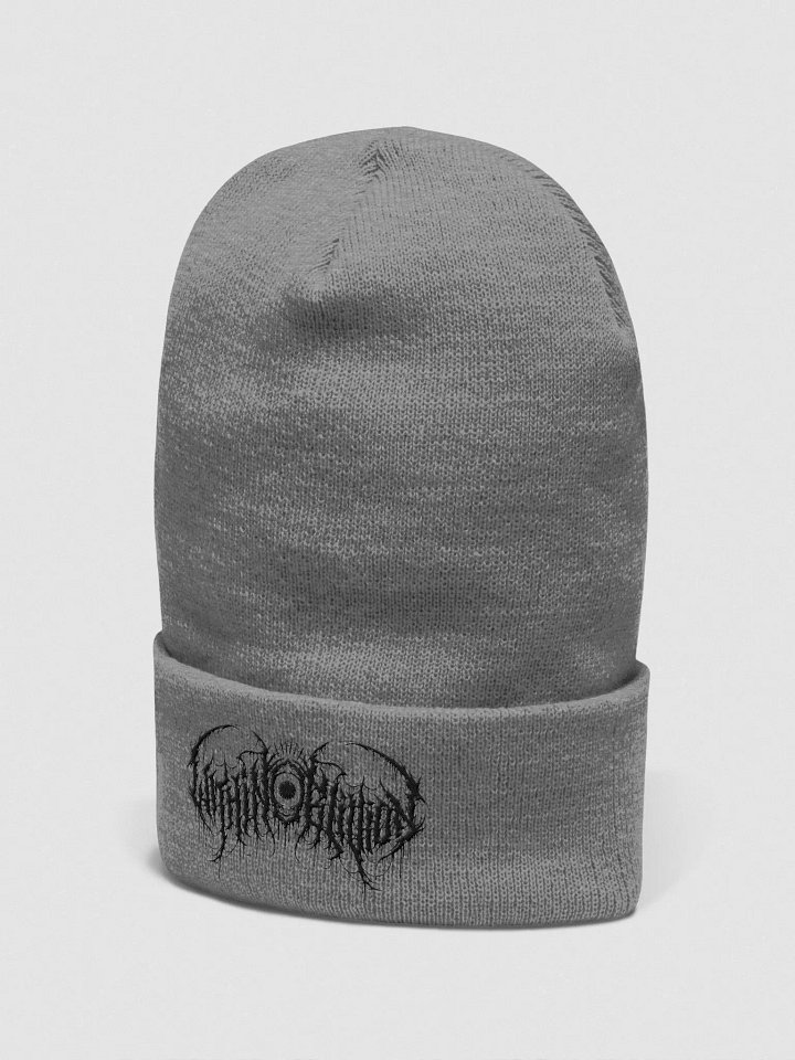 WO Beanie - Heather Gray product image (2)