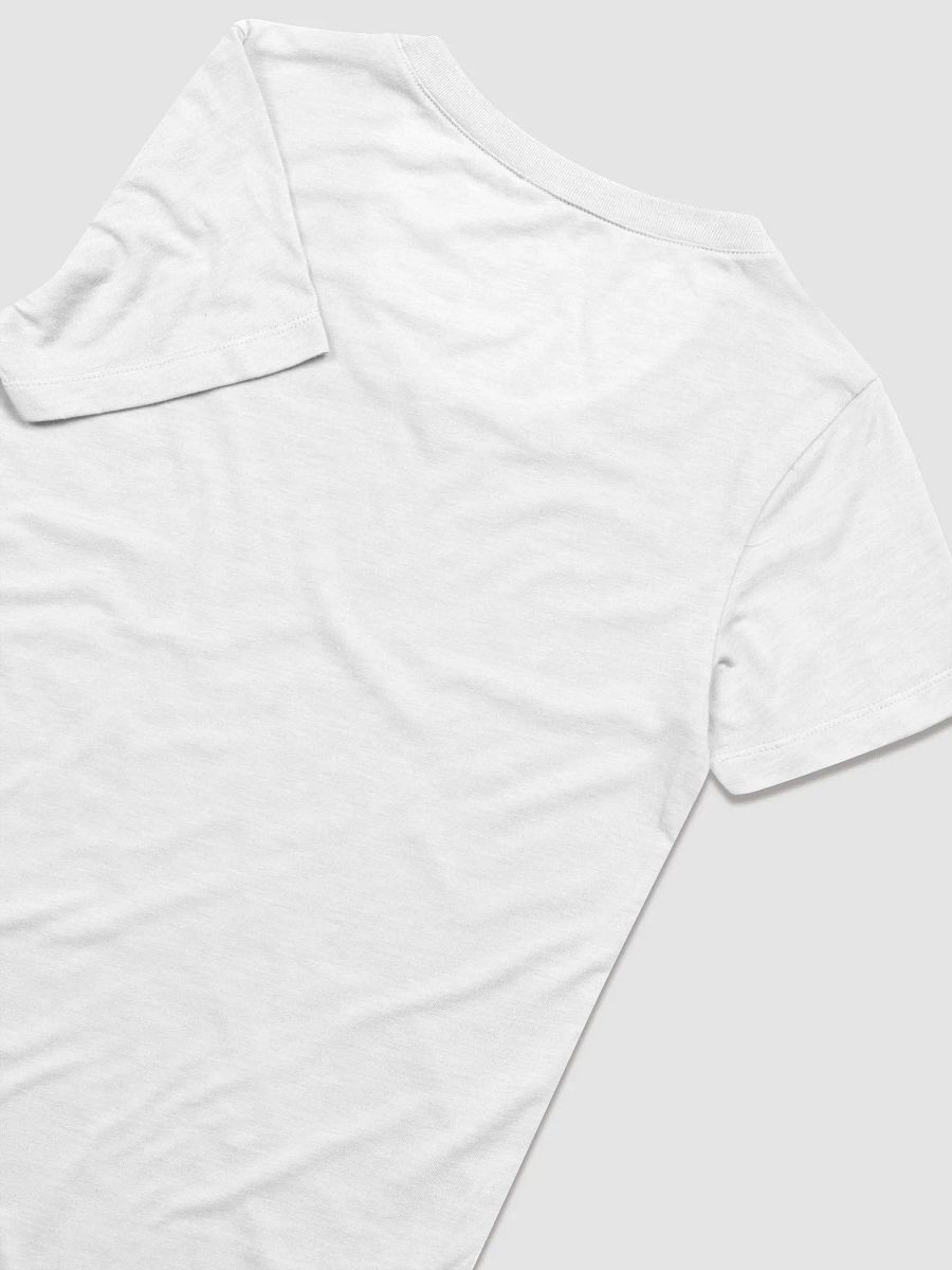 (Fake) Pocket Hoarding - Ladies' Triblend T-Shirt product image (8)