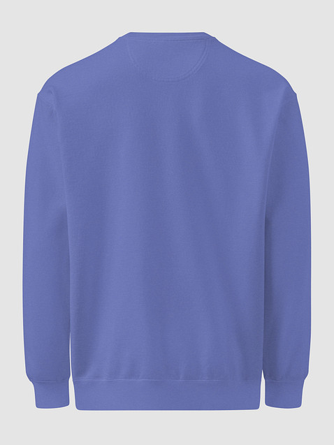 Photo showing Comfort Colors Unisex Garment-Dyed Sweatshirt