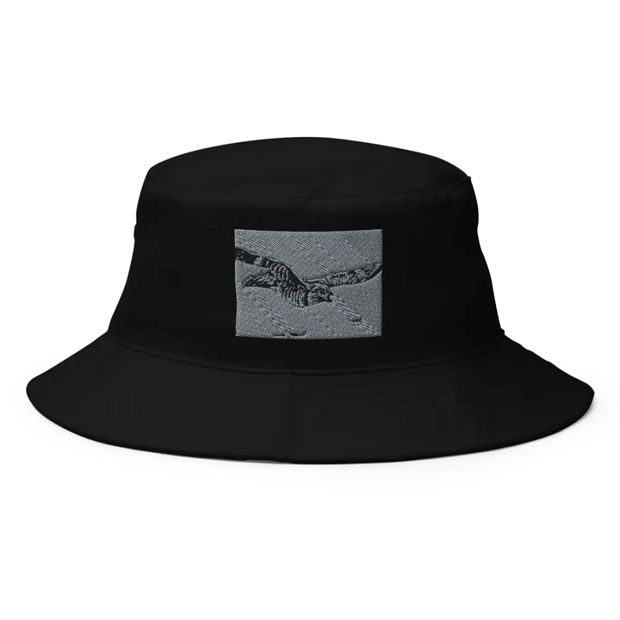 RareBird WOW Fashion by Rachel Walker product image (1)