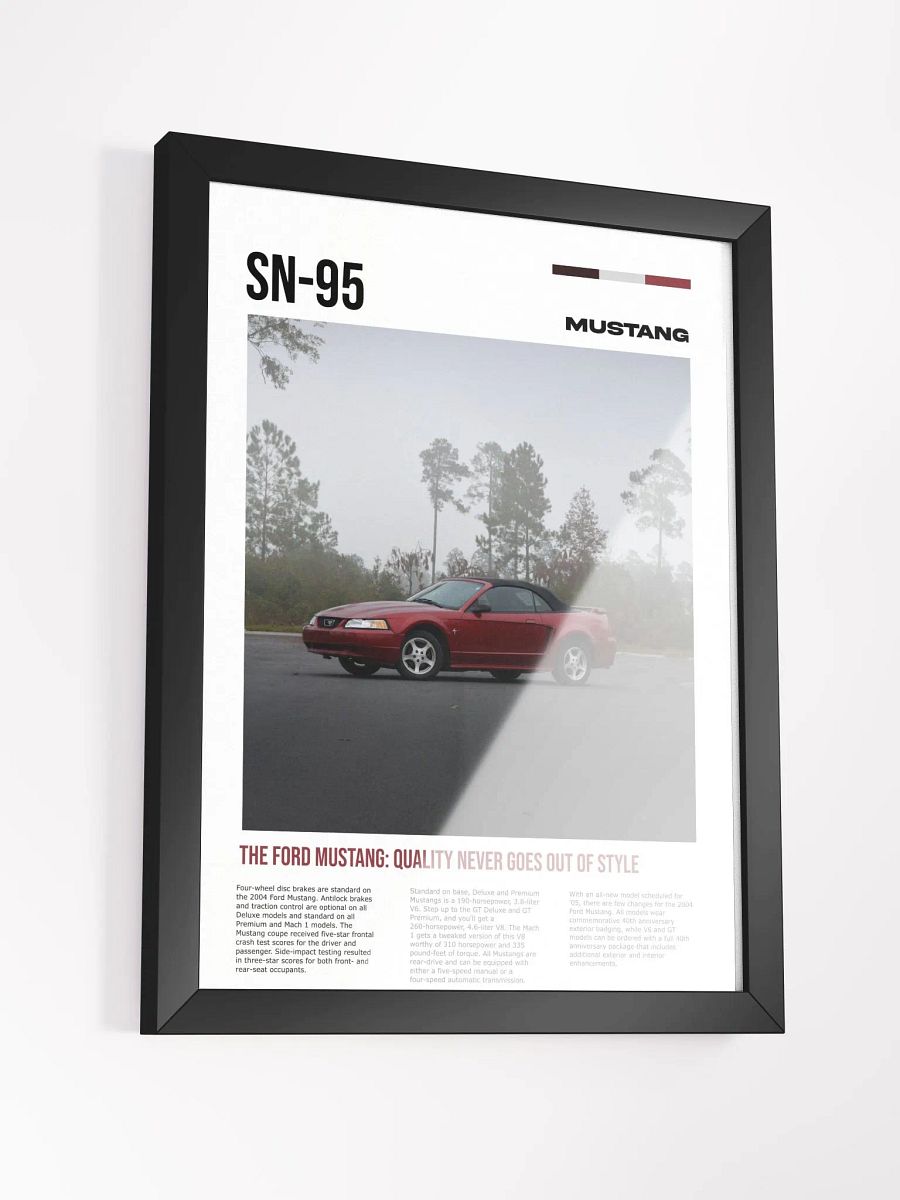 SN-95 framed poster product image (3)