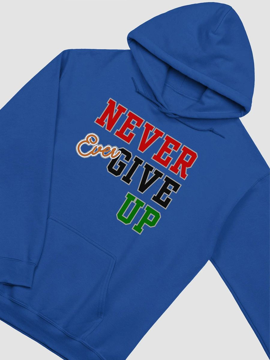 Never Ever Give Up product image (18)