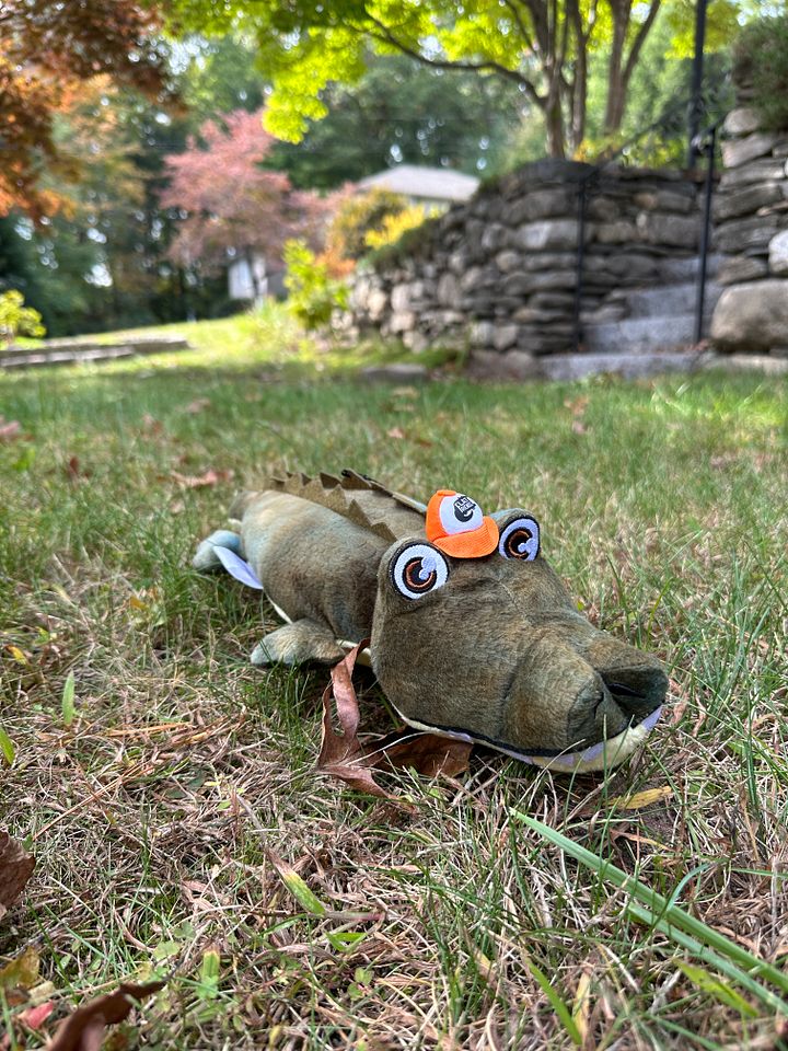 Alligator Plush product image (1)