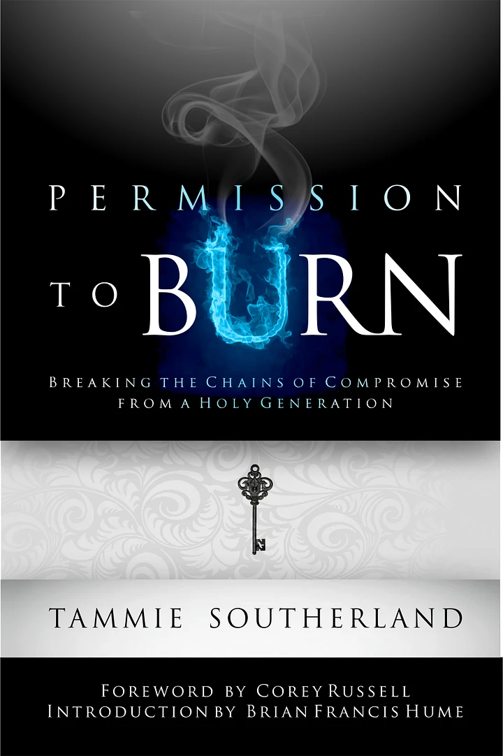 e-book: Permission to Burn: Breaking the Chains of Compromise from a Holy Generation product image (1)