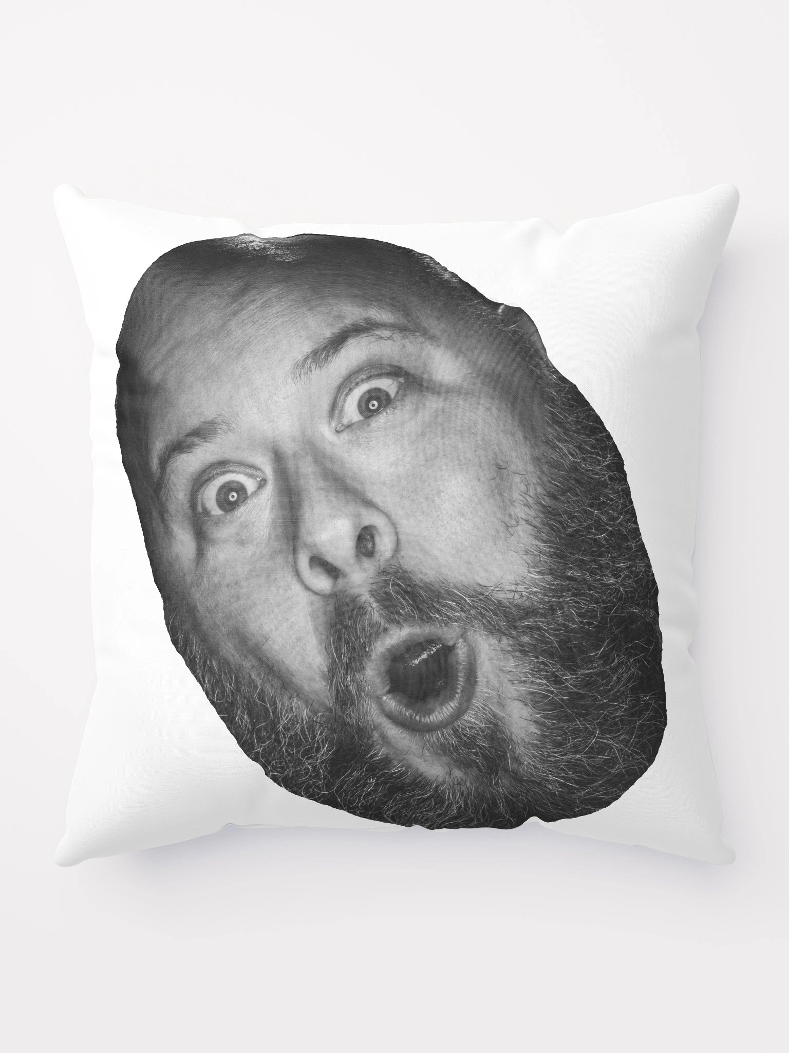 CheeksPOG the Pillow! product image (10)