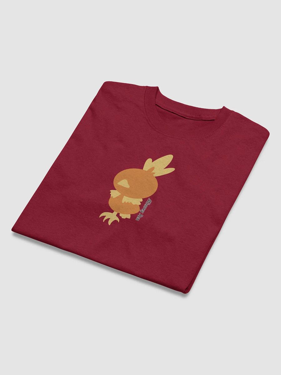 Torchic product image (13)