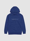 *SIGHS IN GAY* Hoodie product image (3)