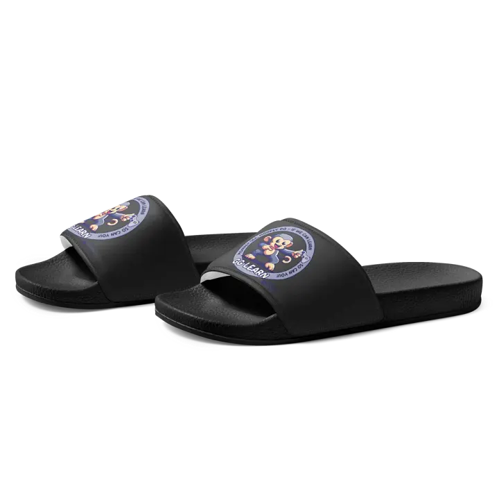 gglearn slides product image (1)