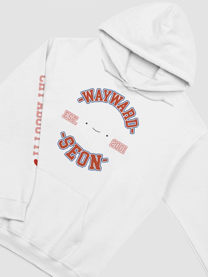 EST. 2001 HOODIE product image (2)