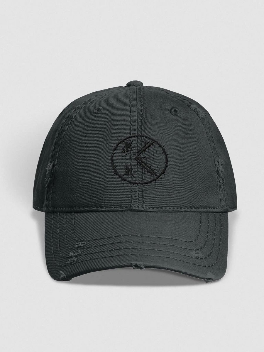 2D Logo Distressed Cap product image (1)