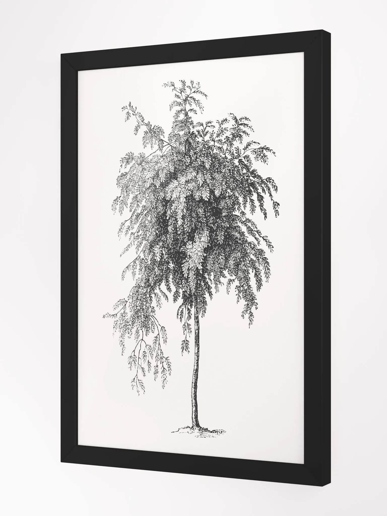 Woodland Trees #3 Framed Print product image (4)