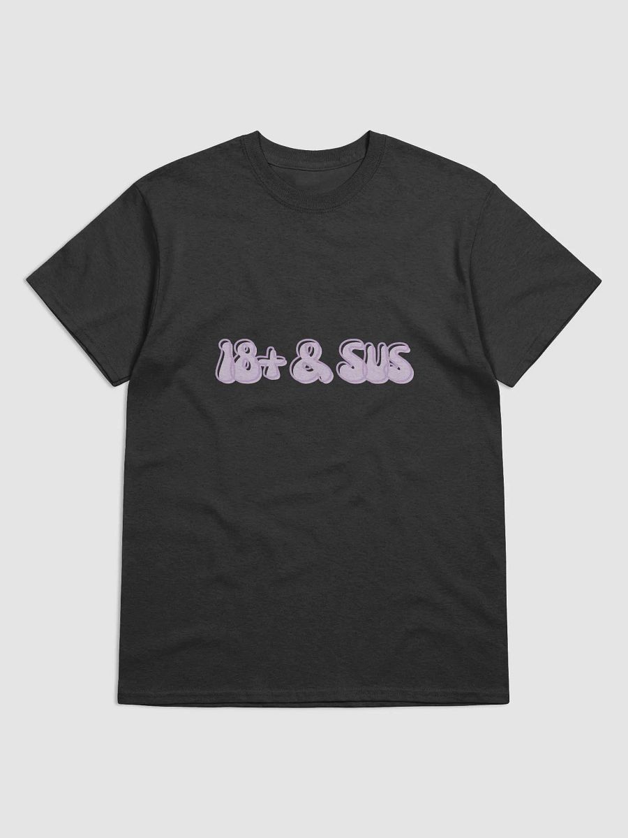 18+ & Sus Shirt product image (3)