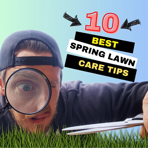 Spring is here! Here's my top 10 tips for getting your lawn in shape for the summer! #springlawncare #diyhomeimprovement