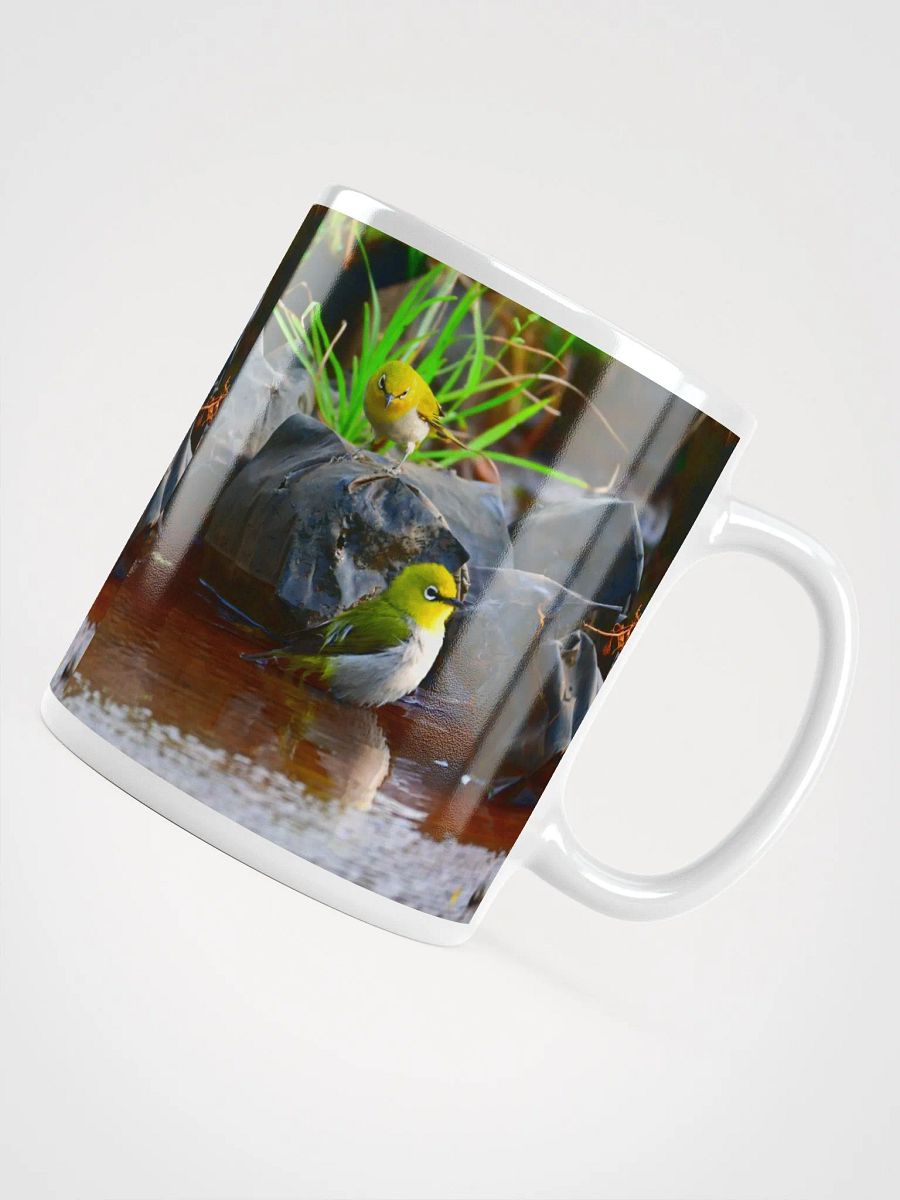 IUCAA Birds MUG product image (4)