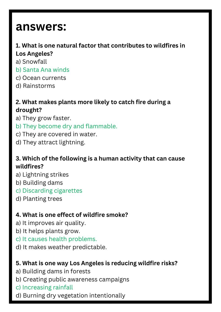 Los Angeles Wildfires Reading Passage with Questions PDF product image (4)