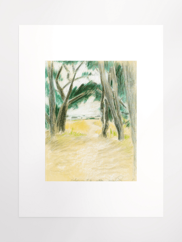 Mackerricher State Park, CA 09.02.86 print product image (2)