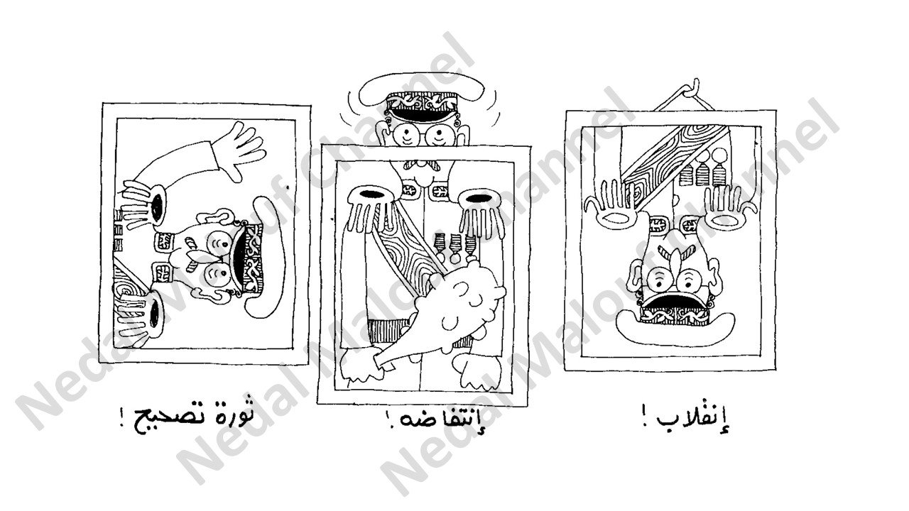 كتاب : الديكتاتورية للمبتدئين product image (6)