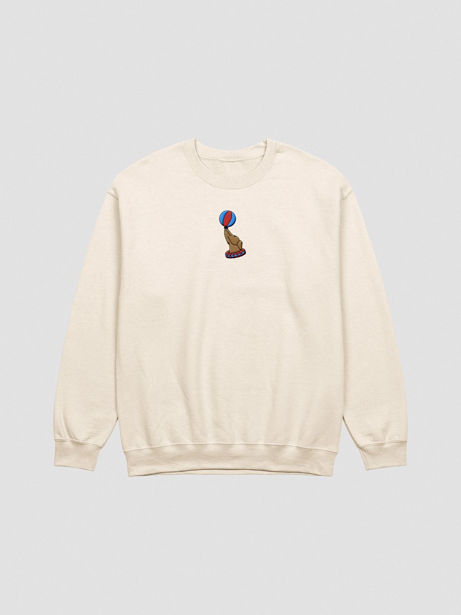 Balancing Act Sweatshirt product image (1)