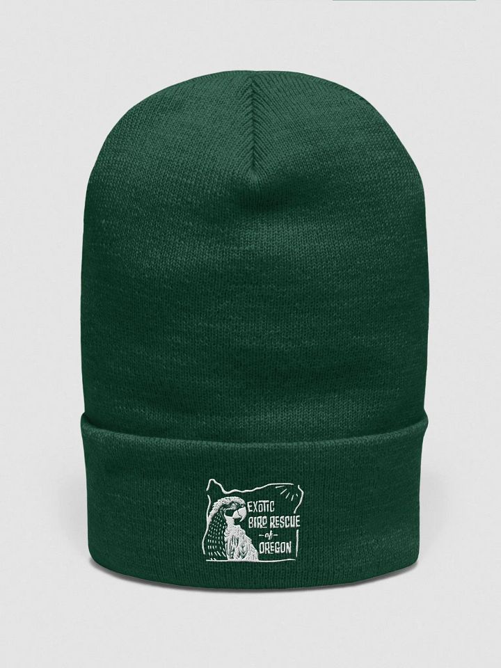 EBR Logo Beanie product image (1)