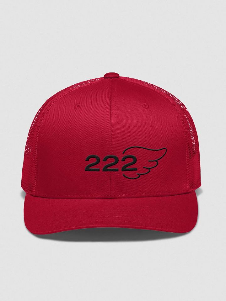 Aligned AF 222 Trucker Snapback product image (1)