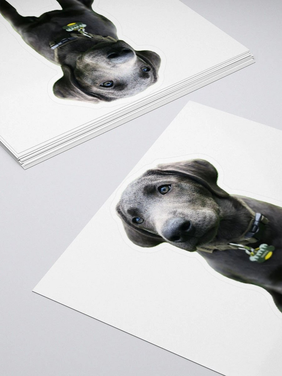 Sokka sticker product image (4)